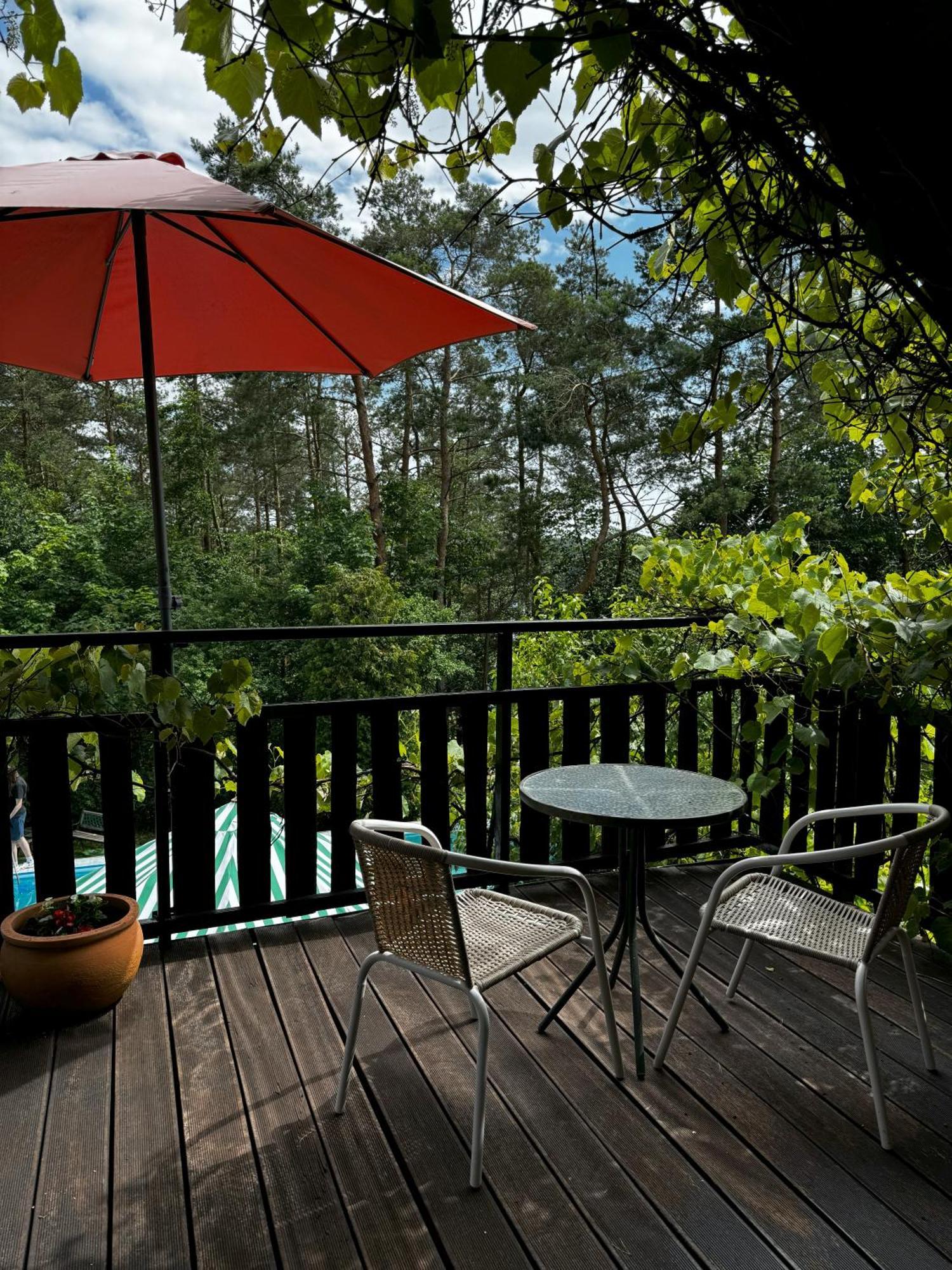 Holiday Villa Żuromin Εξωτερικό φωτογραφία