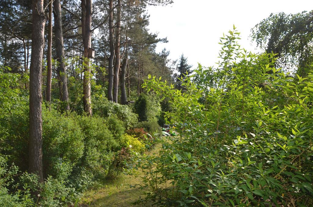 Holiday Villa Żuromin Εξωτερικό φωτογραφία